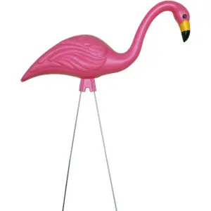 Pink Flamingo