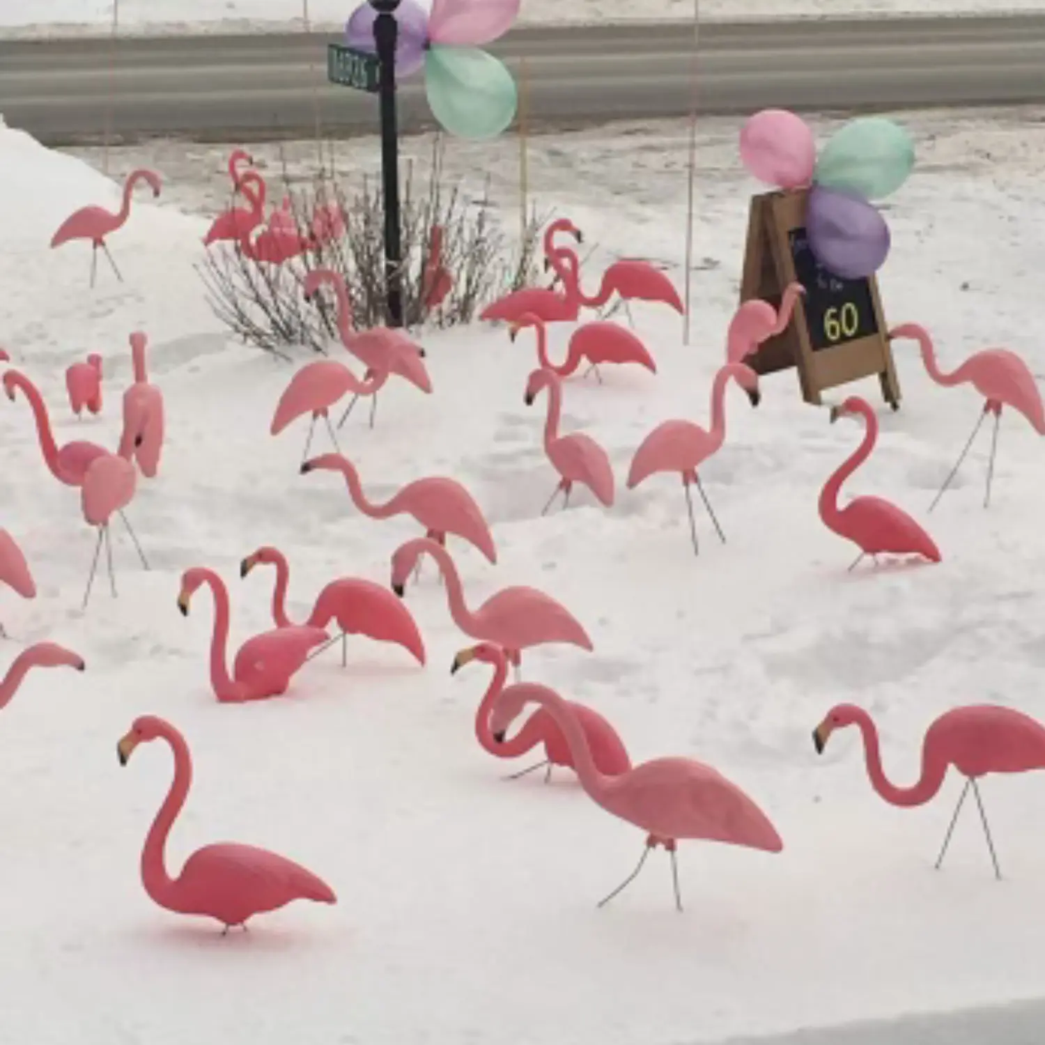 Pink Flamingo - Image 2
